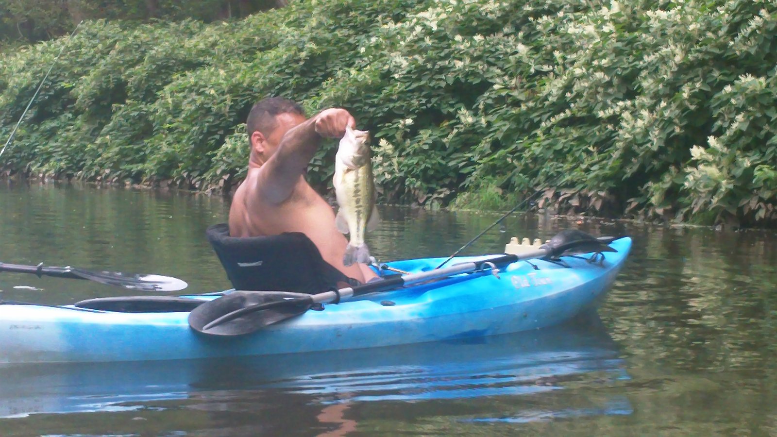 An angler in a kayak holding a bass up high against a backdrop of lush green riverbank.