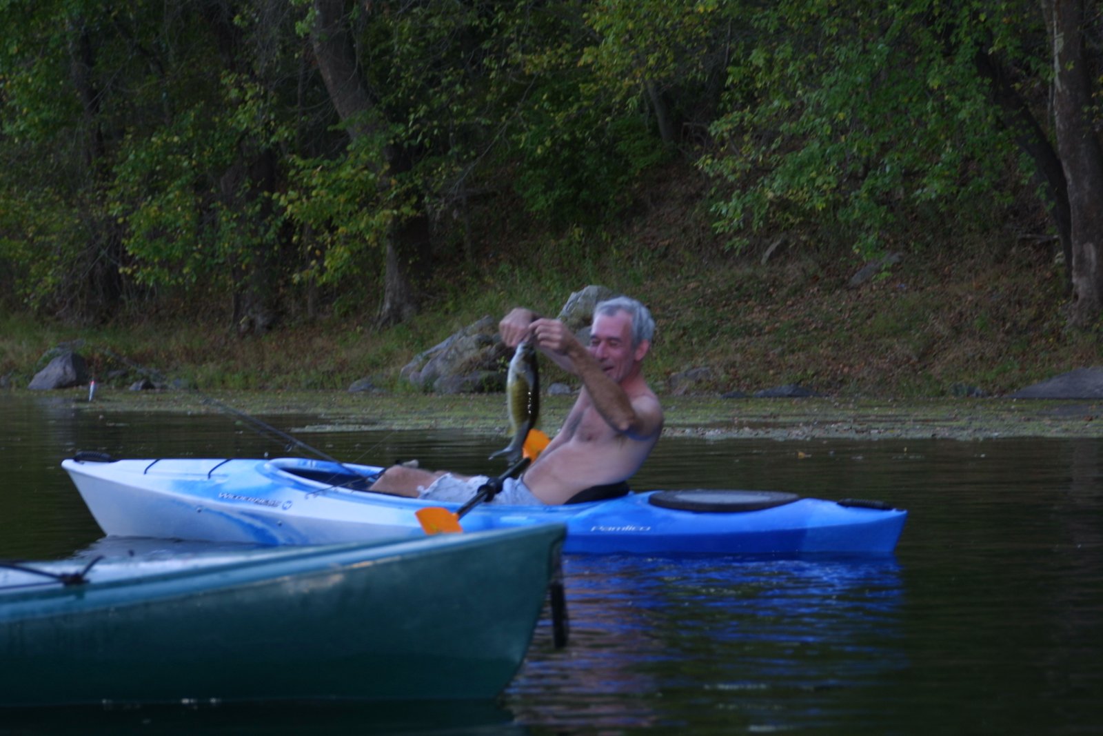An angler holding a walleye at dusk, warm evening light on the water.