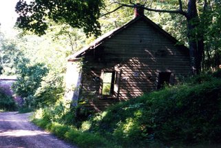 The old building standing abandoned in the woods, overgrown before dismantling.