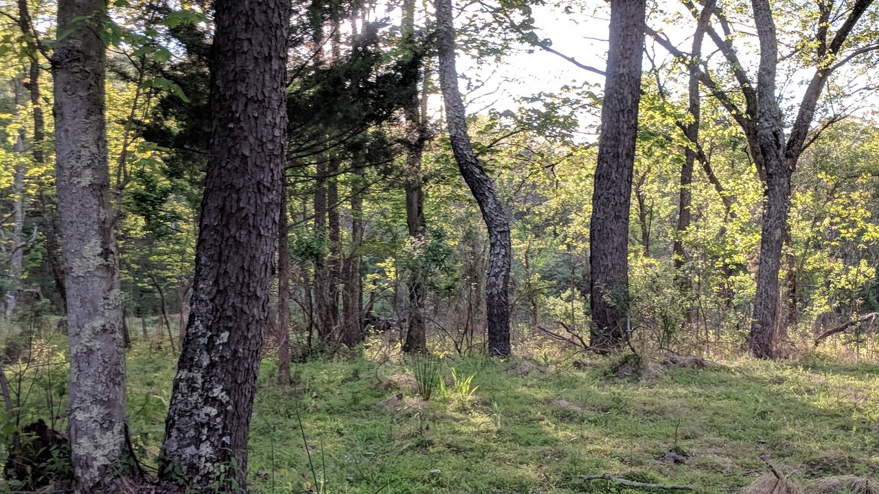 A scenic view of the valley from the property.