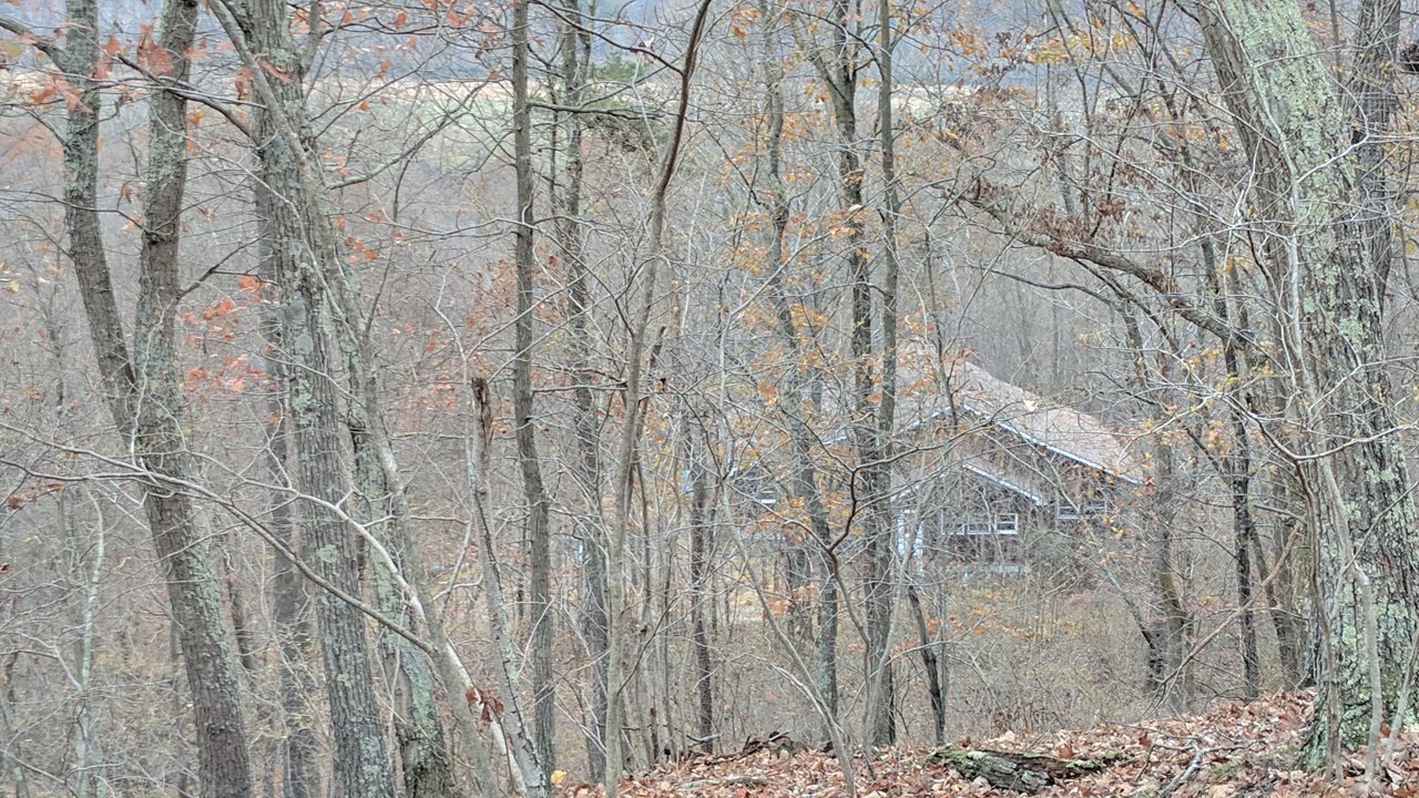 The home seen through bare late-autumn trees.