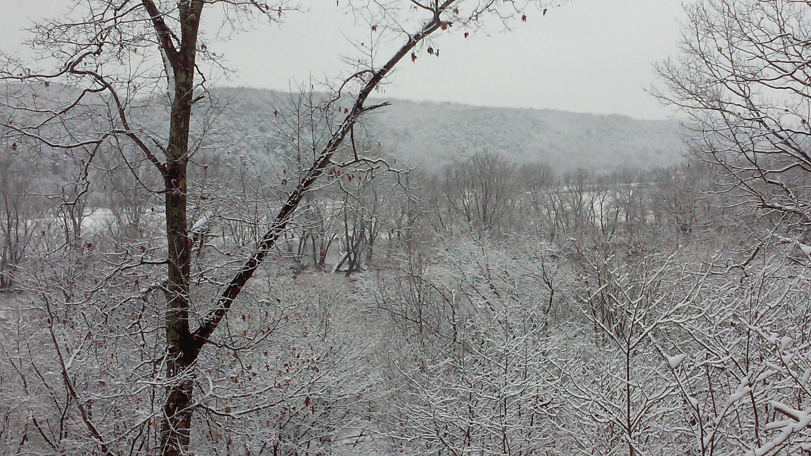 A wide snowy valley overlook from the ridge.