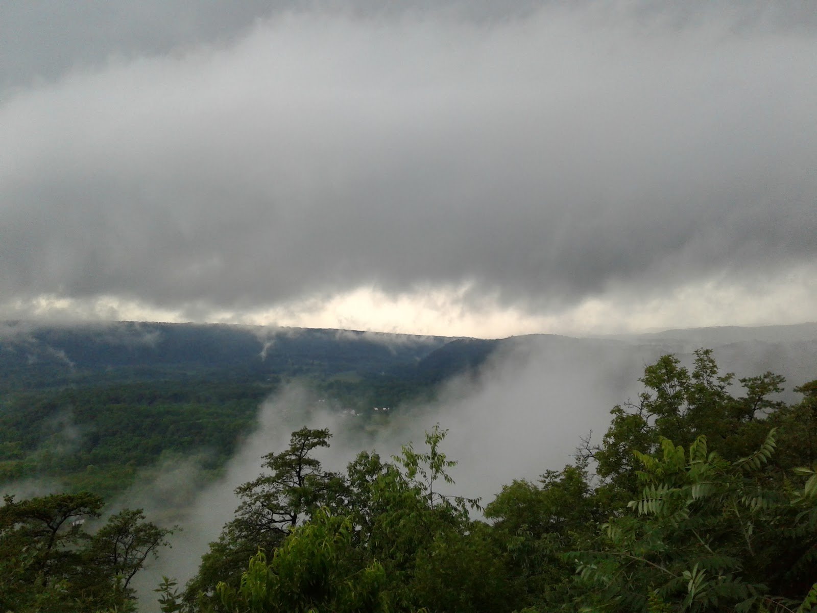 Mist lifting off the valley floor at dawn, seen on the final approach to the property.