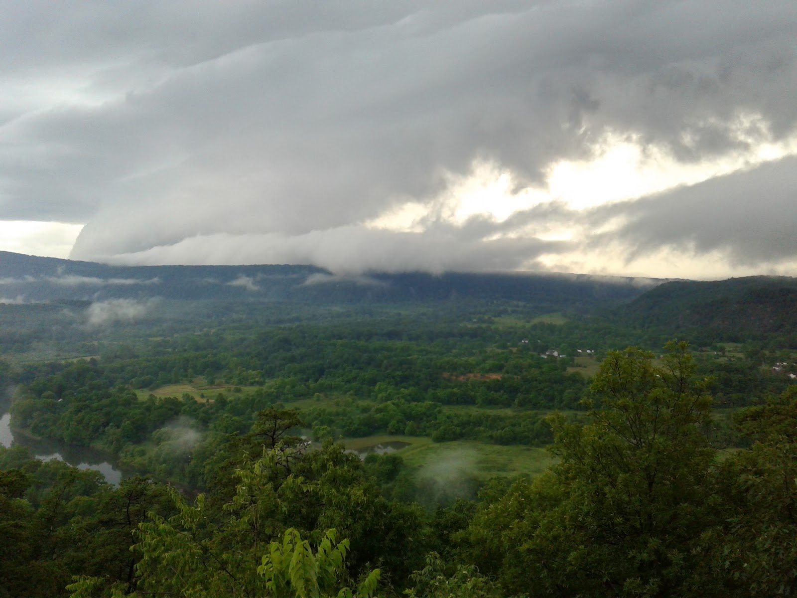 A clear evening view of the forested valley and river on the approach to the property.