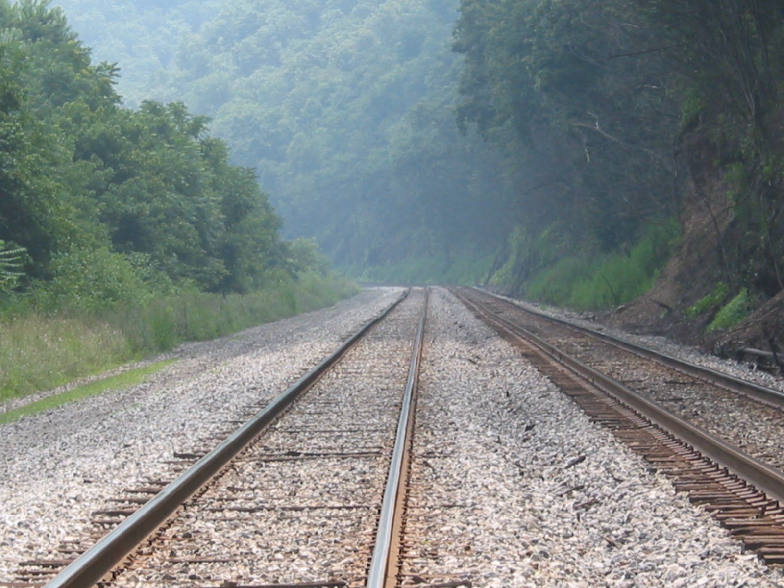Railroad tracks disappearing into mist between forested mountains.